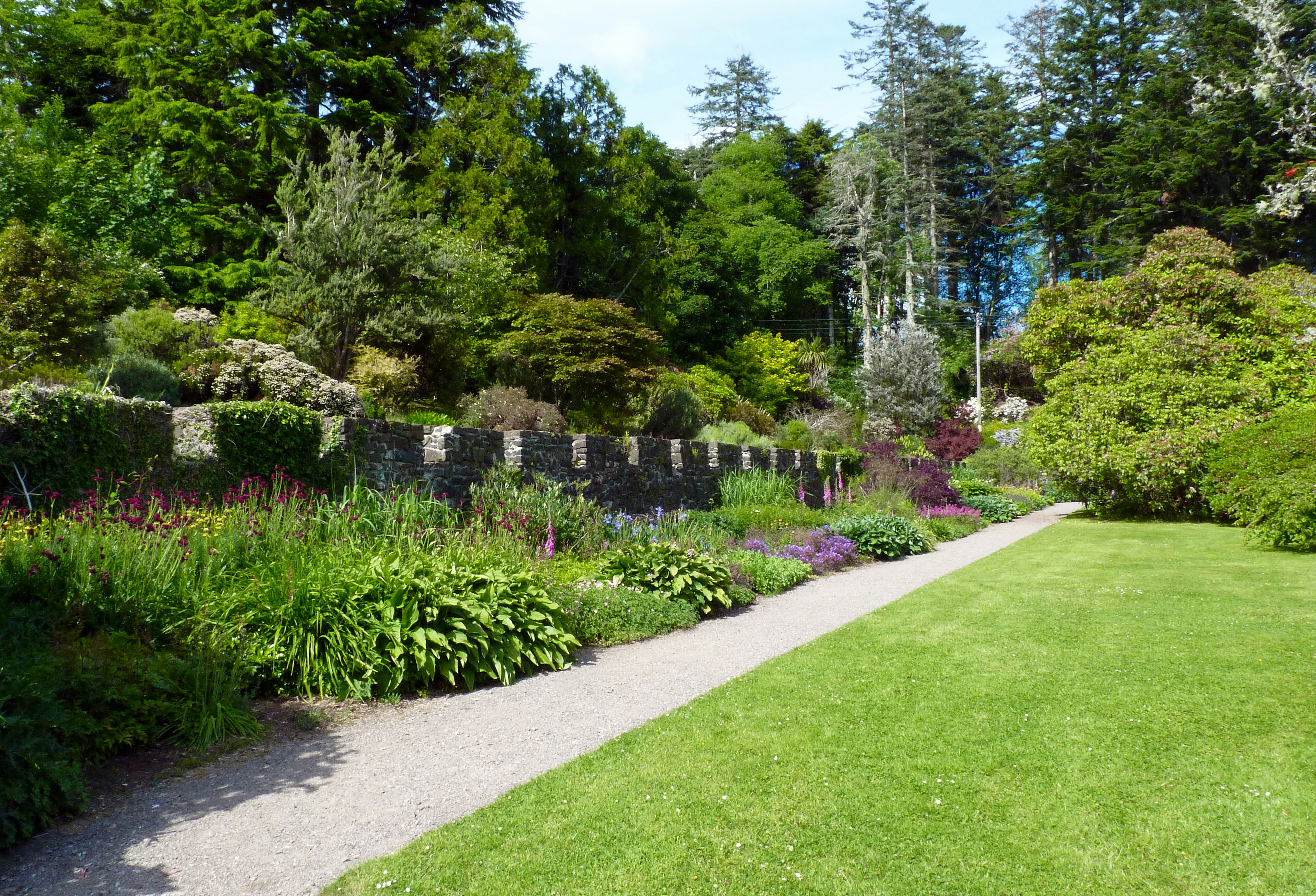 Native pollinator garden